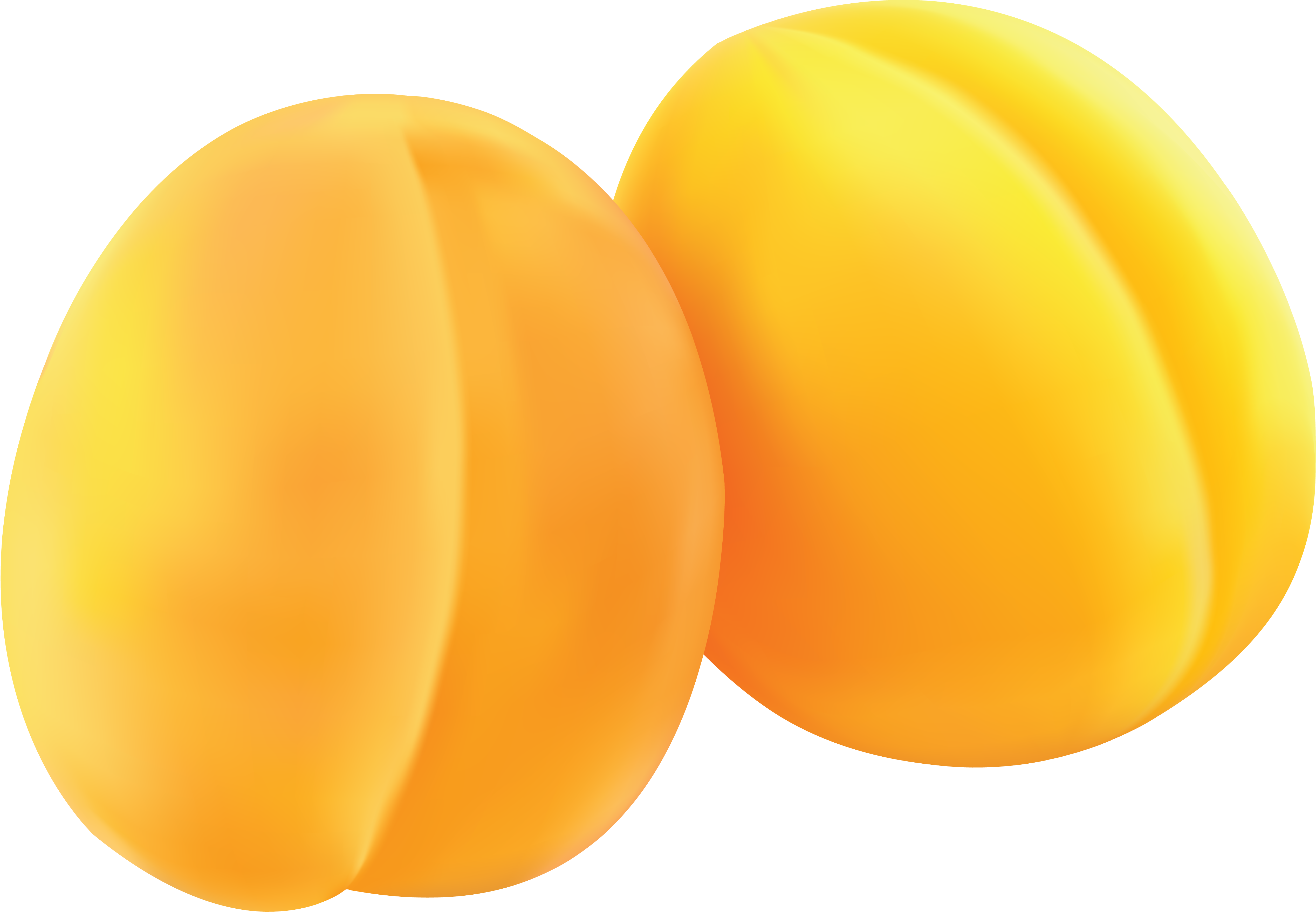 Dua aprikot kuning