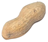 Kacang